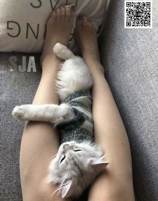修业魔女璐璐萌