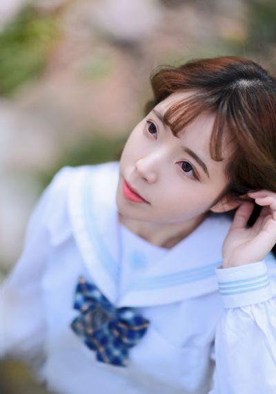 梅花儿香电视剧