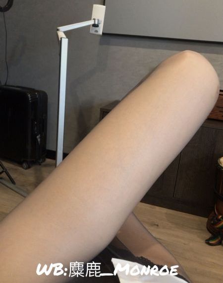 顶楼大象