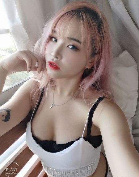 完美先生和差不多电视剧免费
