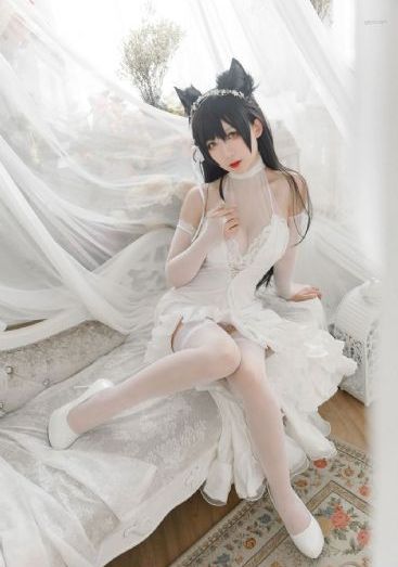 平稳世代的韦驮天们