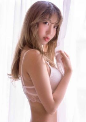 文豪野犬第二季在线观看免费
